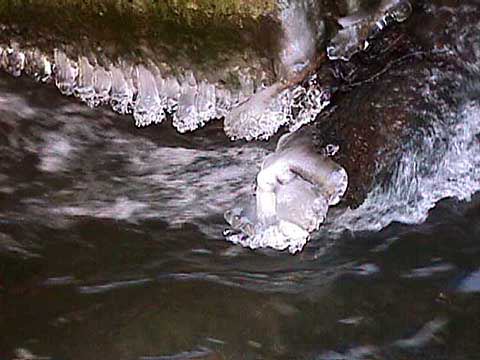 ice formation on the Beuvron