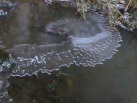 ice formation on the Beuvron