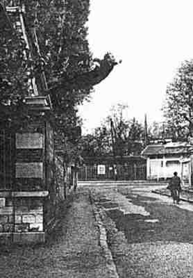 Yves Klein's jump into the void