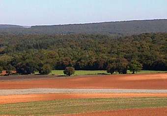 the Cuncy les Varzy October landscape