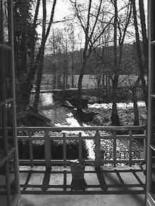 view from the dining room