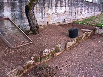 the vegetable garden  east border flower terrace