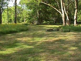 lawn carved out in prairie