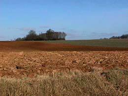 4 colored field above Ouagne