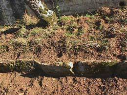 digging along the edge