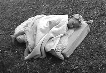 Roemer in bee sting trauma sleep