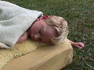 Roemer in bee sting trauma sleep