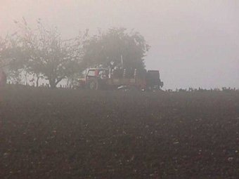 the grape harvest site