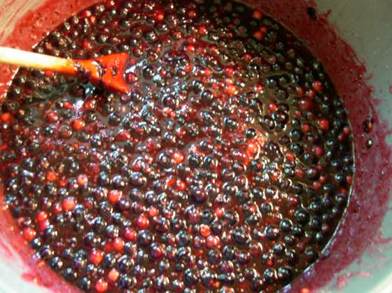 currants cooking