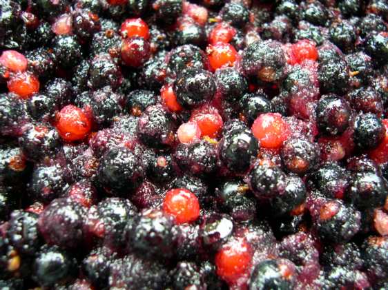 currants sugared