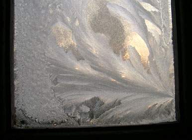 ijsbloemen ice flowers