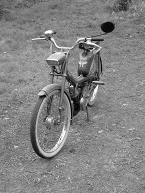 mobylette spring clean