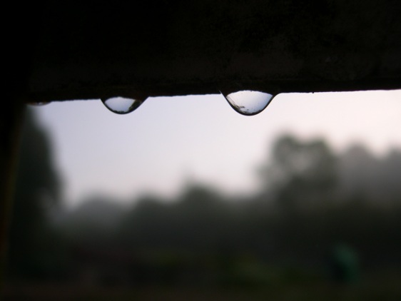 jeanine geerts 1945-2003