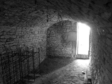 wine cellar spring clean