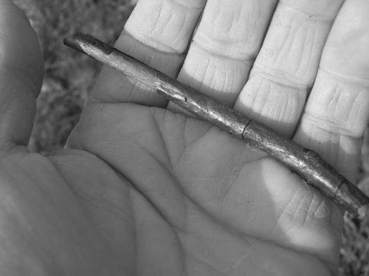 burn harvest charcoal