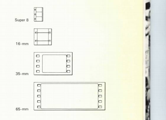 film formats actual size