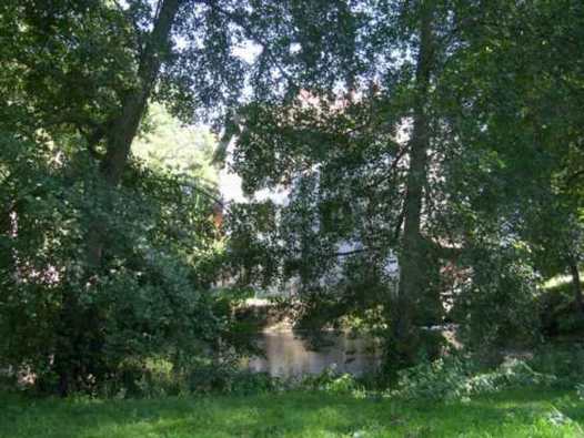 mdm over the mill pond