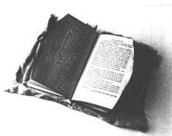 Burnt Book by Rauschenberg