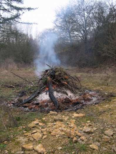 burning our trees in the quarry